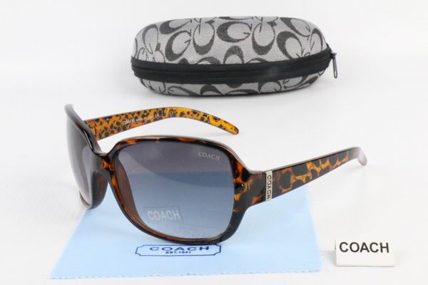 C0ACH Boutique Sunglasses 025